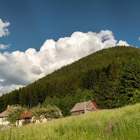 Art'e Boutique Bed & Breakfast BaileTusnad